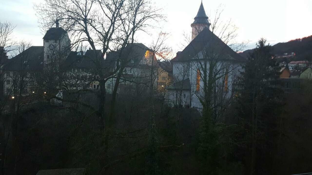 Waldshut Suite In Zentrum 外观 照片